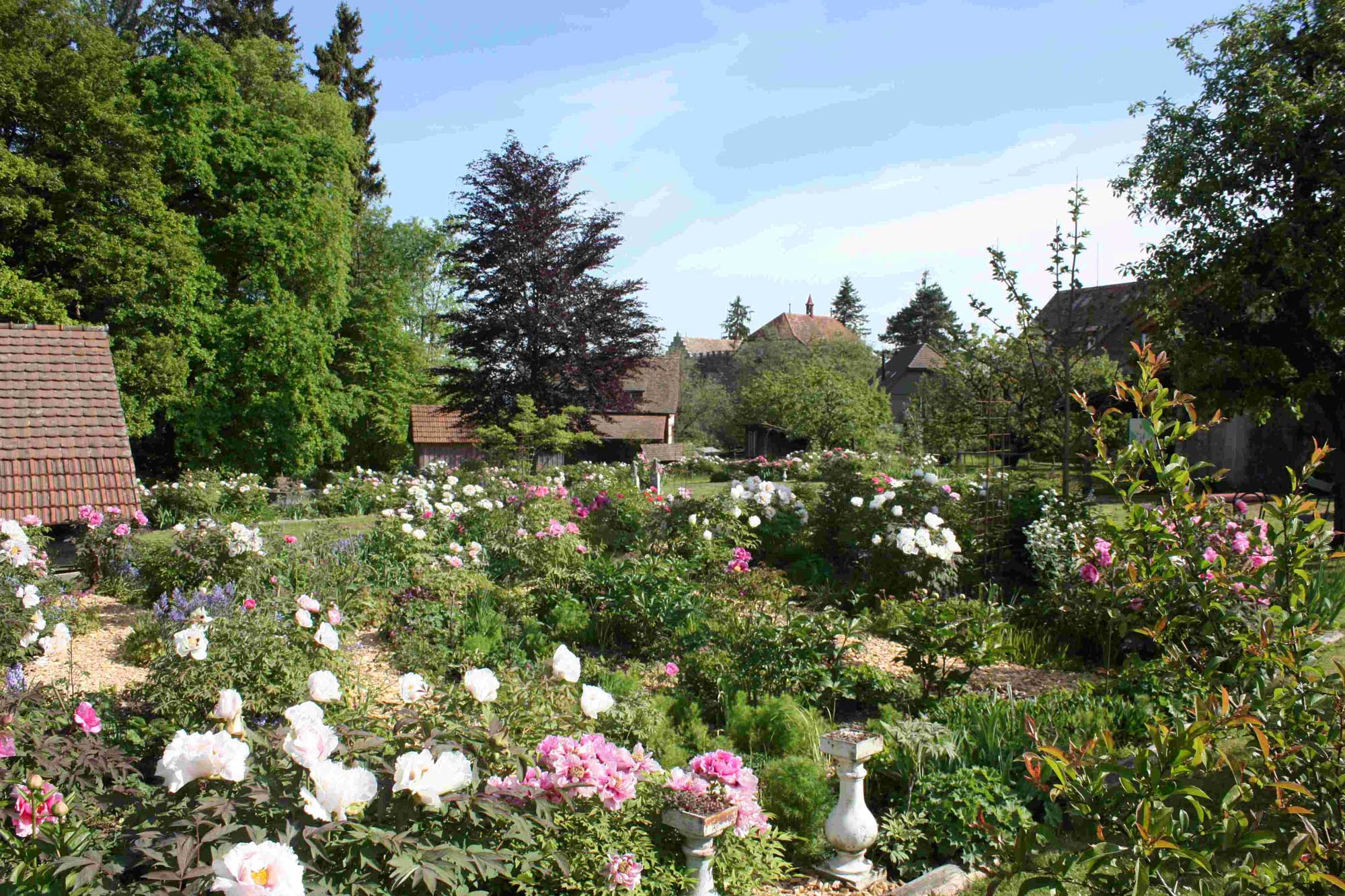 Schloss Wellenberg